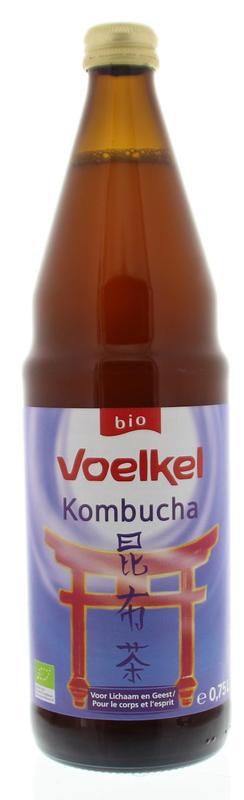 Kombucha Bio 750ml