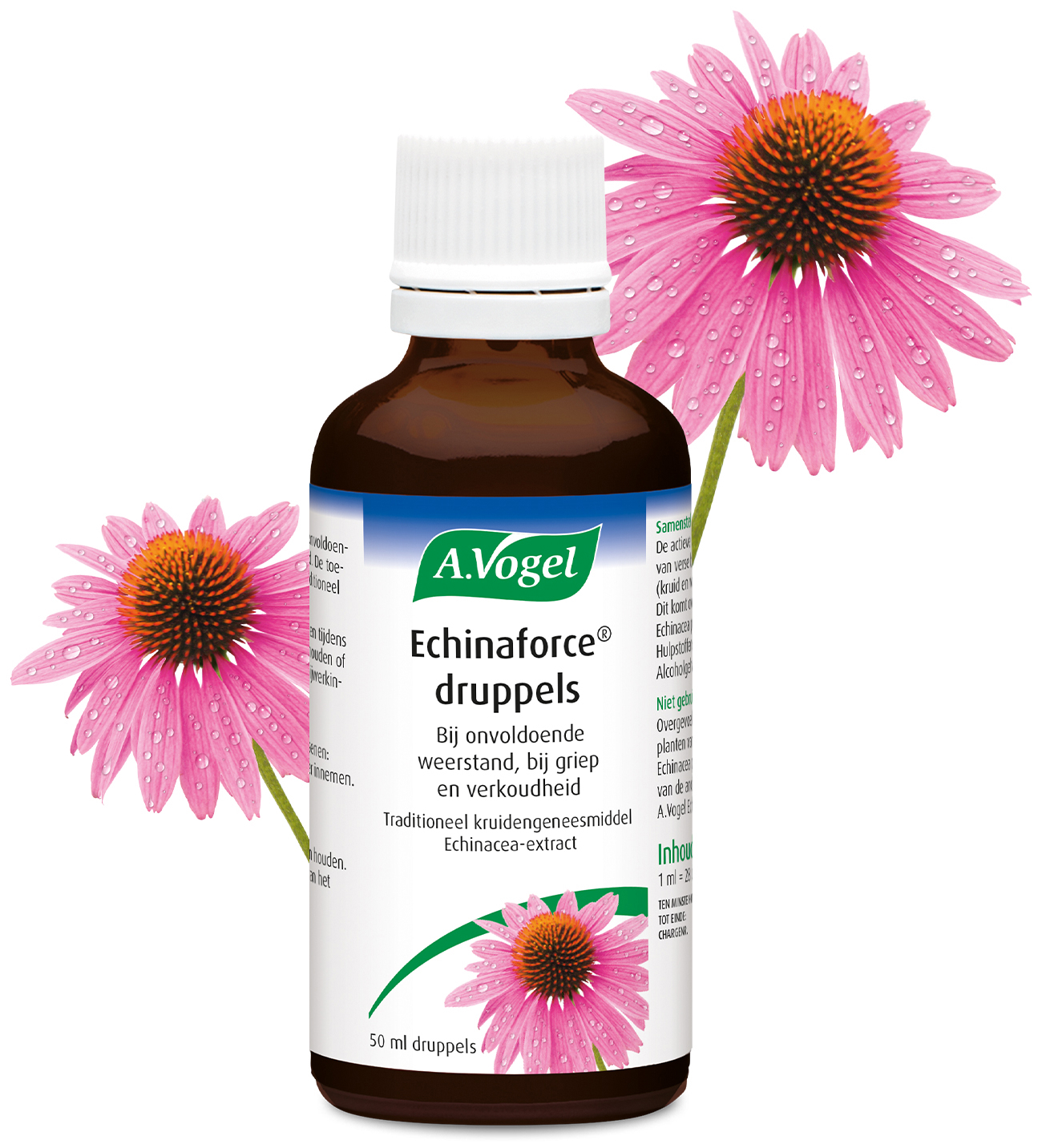 A.Vogel Echinaforce Druppels 50 ML