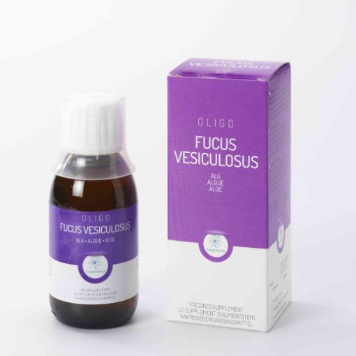Fucus 120ml