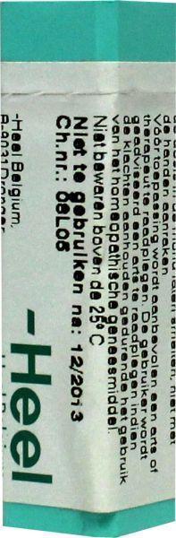 Homeoden Heel Phytolacca decandra D30 1g