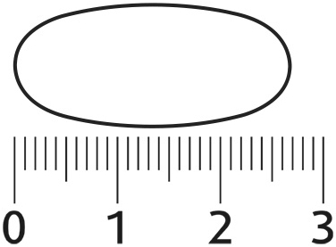 Lucovitaal Super Omega 3 Visolie MAXI XXL 210 Capsules