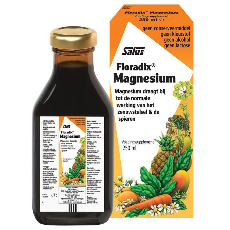 Floradix Magnesium 250ml