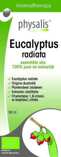 Eucalyptus Radiata Bio 10ml