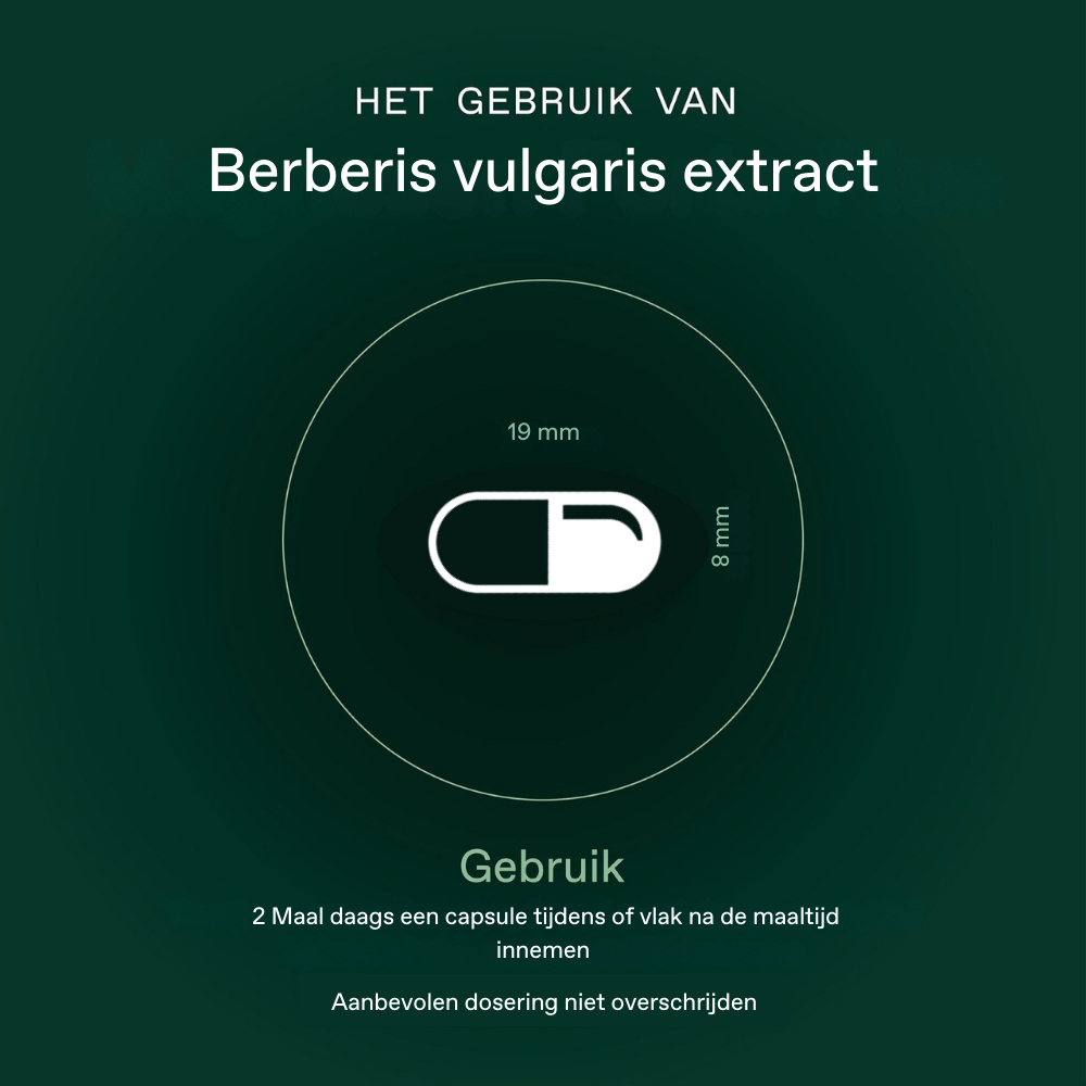 Bonusan Berberis Vulgaris Extract 60 Vegetarische Capsules