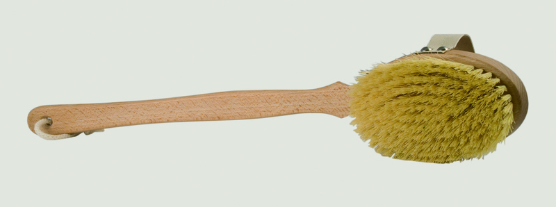 Borstel Mas Cact 1st