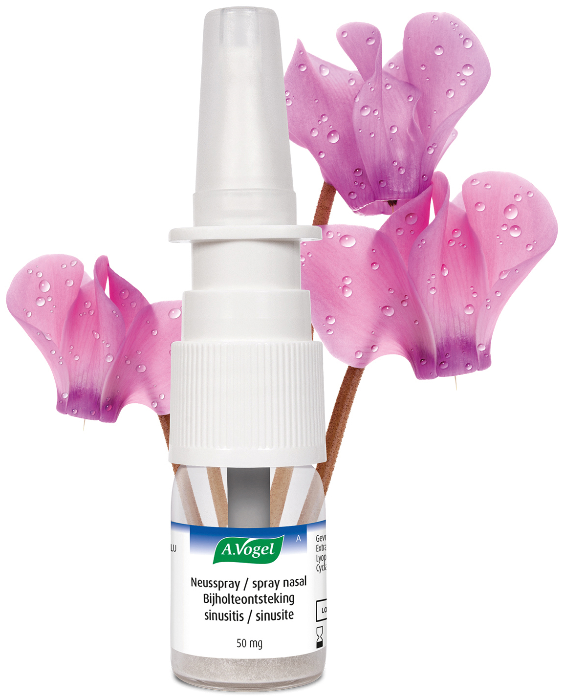 A.Vogel Neusspray Bijholteontsteking 30 ML