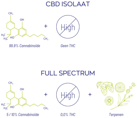 Vitakruid CBD Olie 10% Full spectrum 10ml