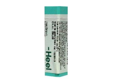 Homeoden Heel Calcarea sulphurica D12 1g