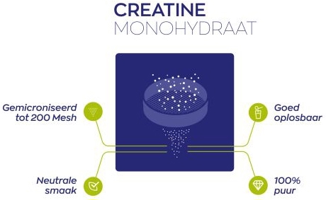 Vitakruid Creatine Monohydraat 1000 MG 180 Tabletten
