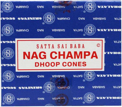 Kegelwierook Satya nag champa 12st