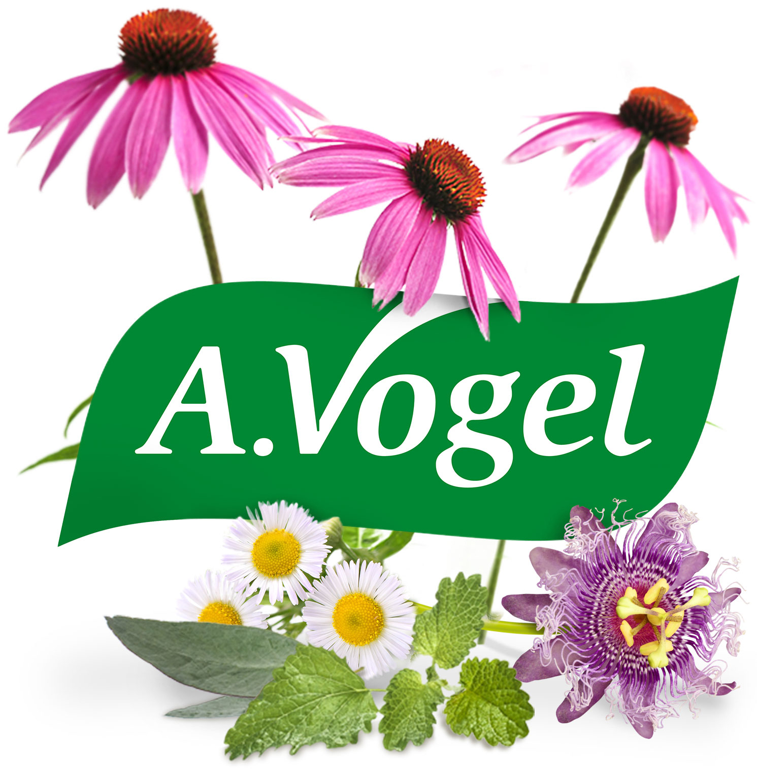 A.Vogel Herbamare Natriumarm korrels 125 gram