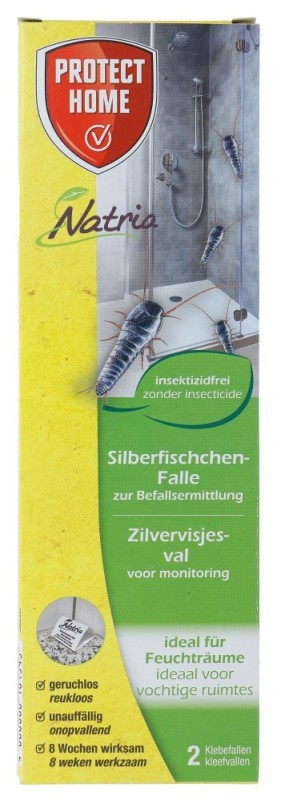 Zilvervisjesval 2 Stuks