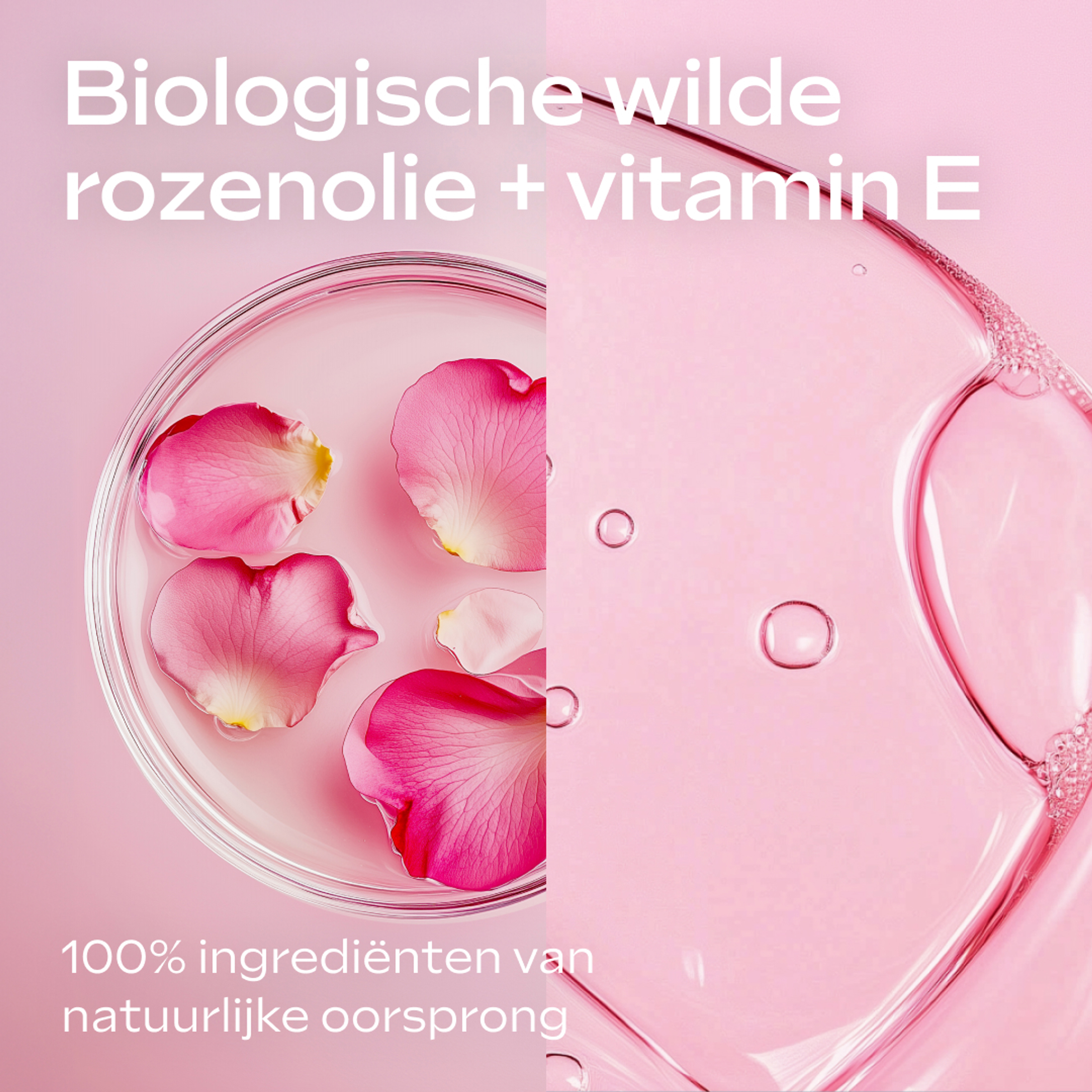 Weleda Body Lotion Verwennend Wilde Rozen 250 ML