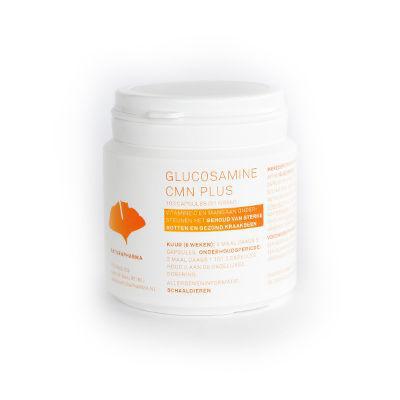 Glucosamine 250mg 100cap