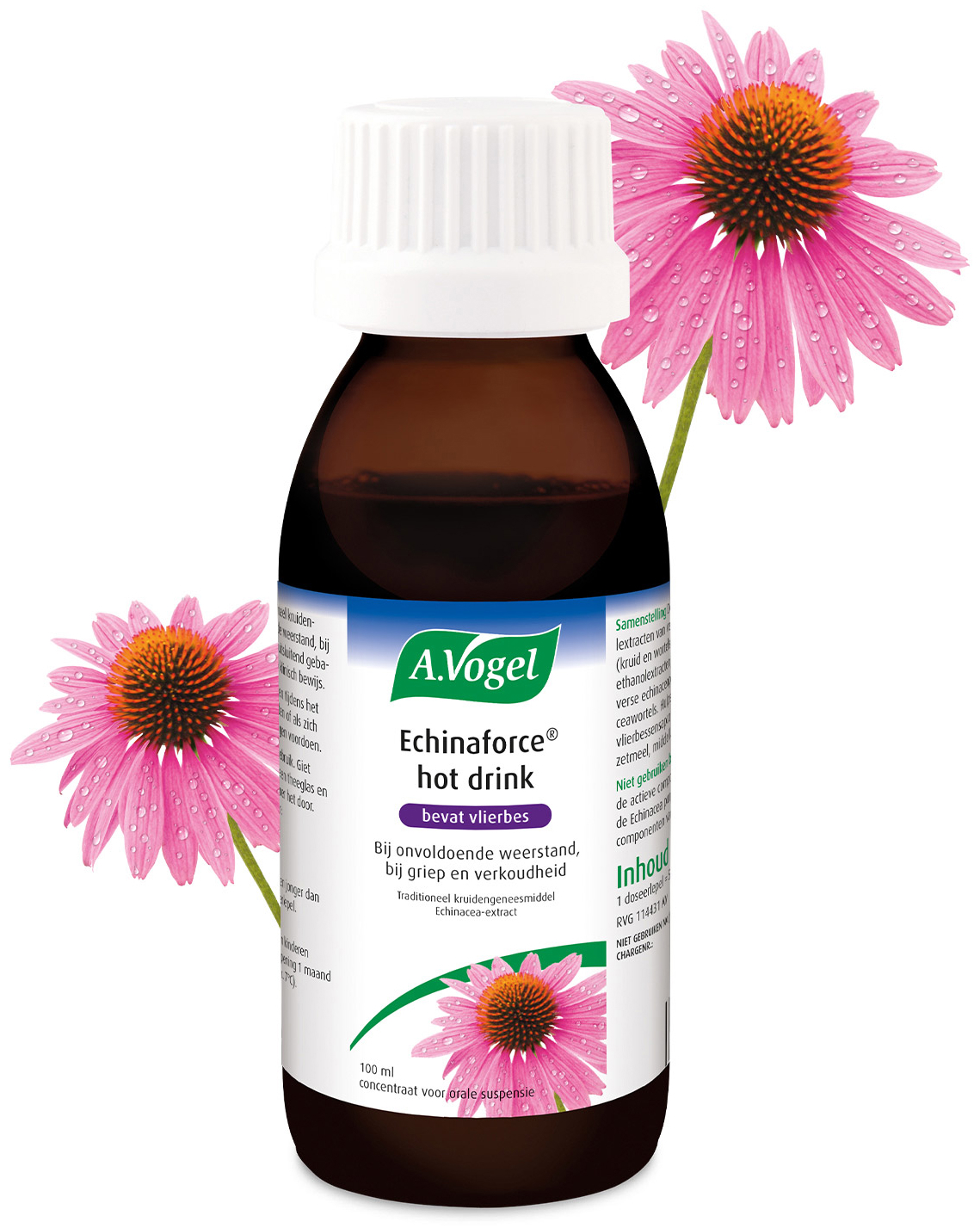 A.Vogel Echinaforce Hot Drink Siroop 100 ML