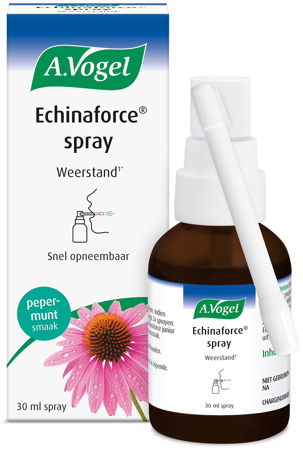 A.Vogel Echinaforce Immuunspray 30ML