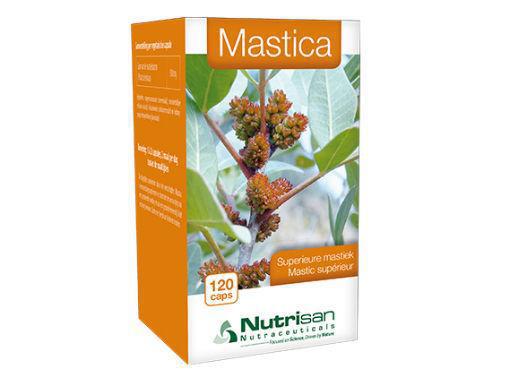 Mastica 120 capsules