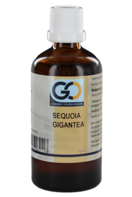 Sequoia gigantea 100ml