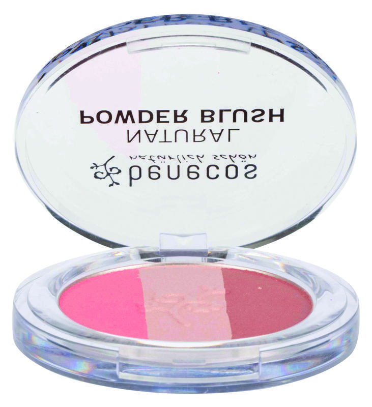 Blush Compact Fall In Love 5g
