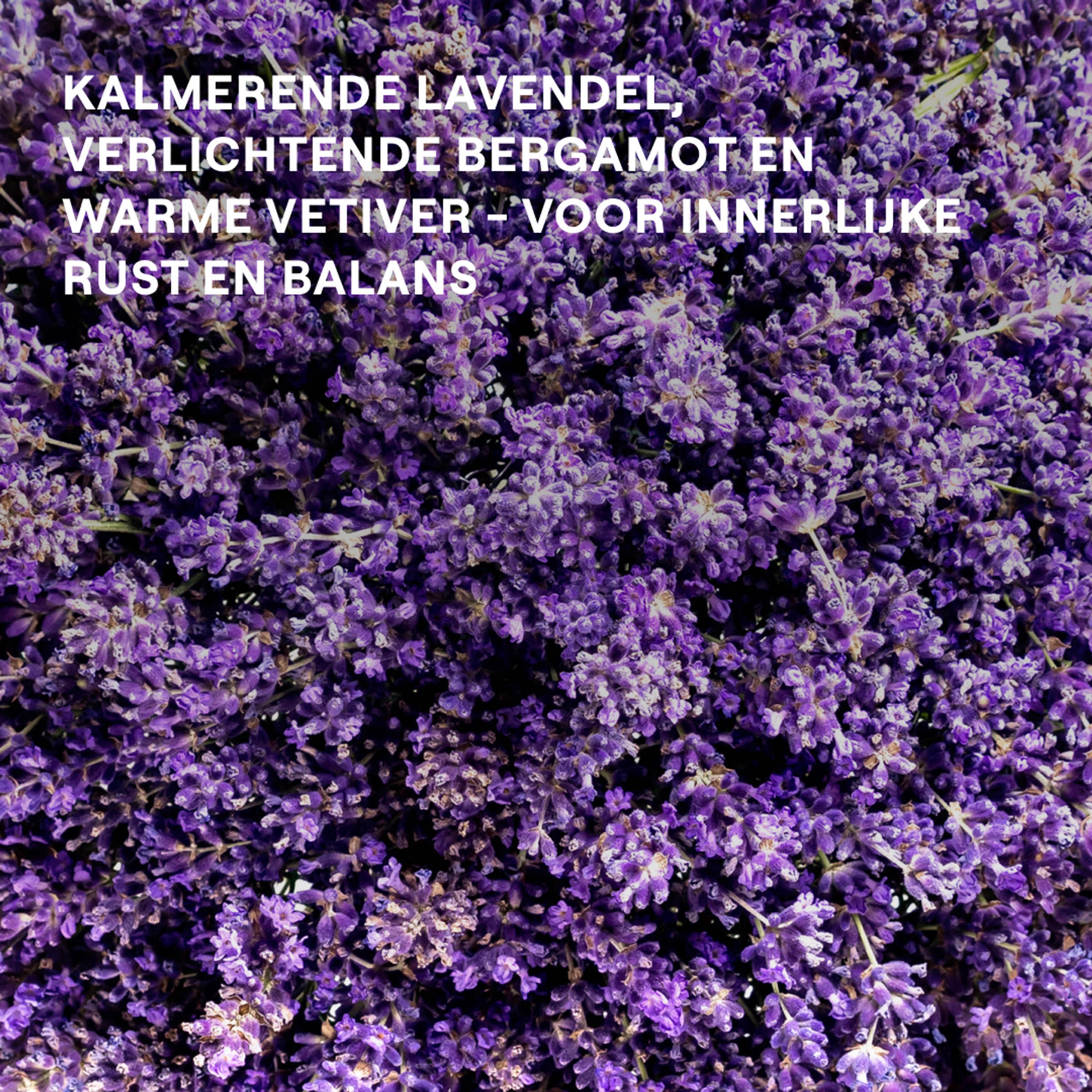 Weleda Relax Douchecrème Lavendel Bio 400 ML