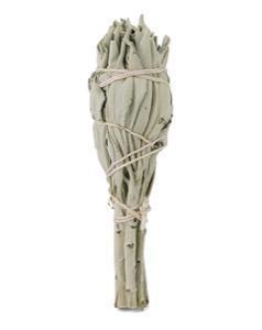 Saliebosje 12 cm 1st