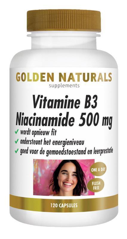 Golden Naturals Vitamine B3 Niacinamide 500mg 120vc