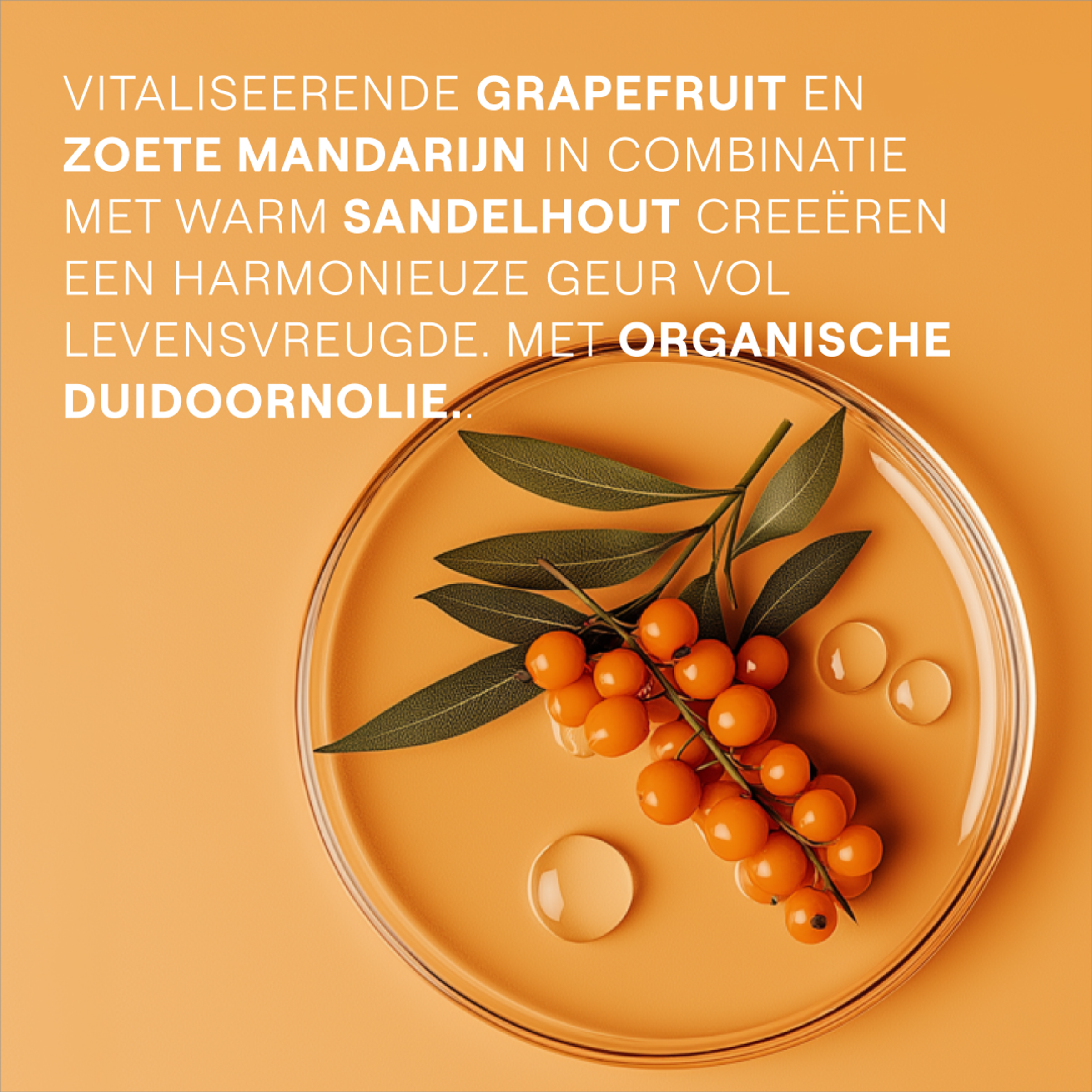 Weleda Vitality Douchecrème Duindoorn Bio 400 ML