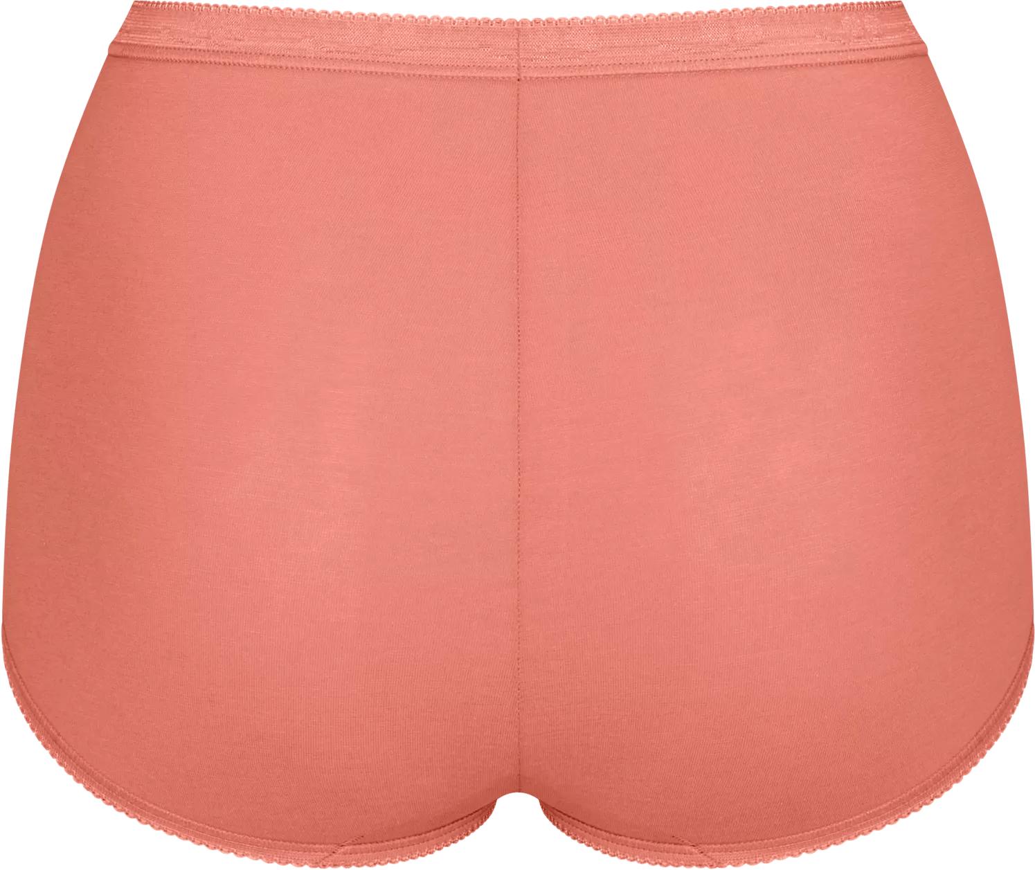 Sloggi Basic+ Dames Maxi 4-pack Multiple Colours