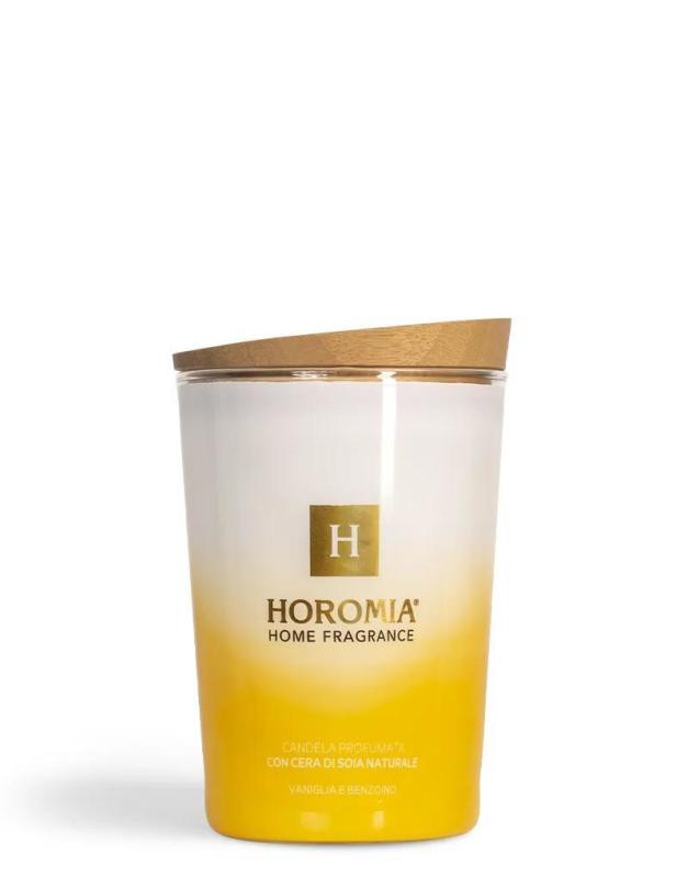 Geurkaars Vaniglia E Benzoino 350gr