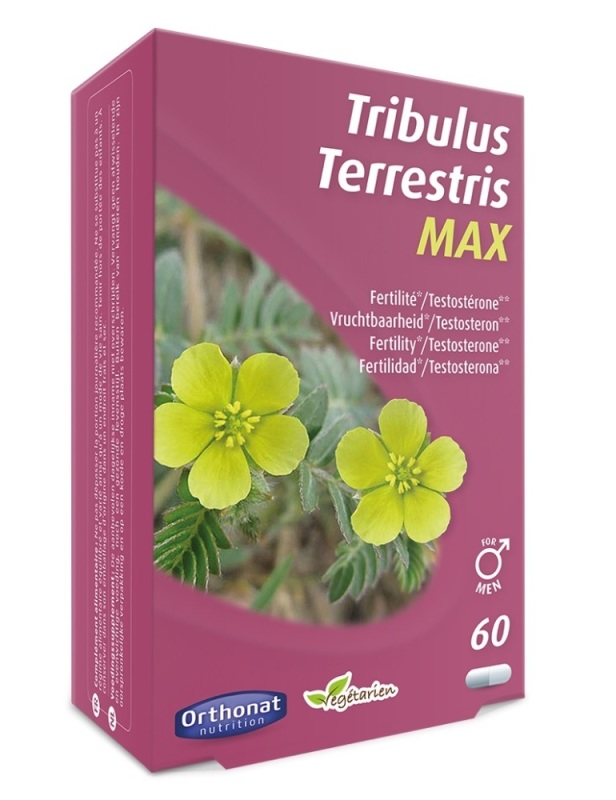 Tribulus terretris max 60ca