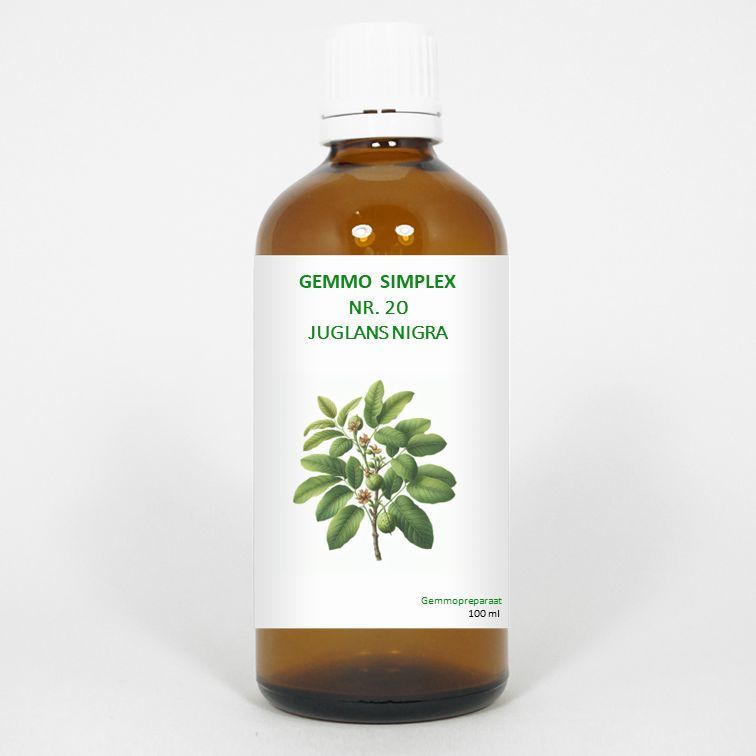 Gemmo simplex 20 juglans nigra 100ml
