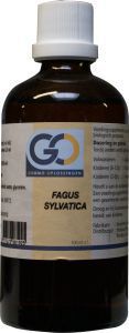 Fagus sylvatica 100ml