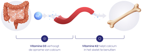 Vitakruid Vitamine D3 & K2 Softgels 90 stuks