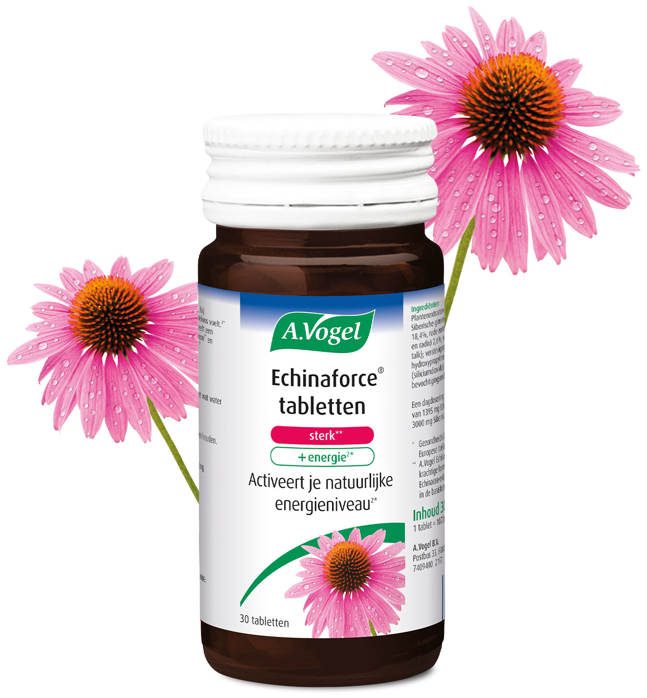 A.Vogel Echinaforce sterk + energie tabletten 30 Tabletten