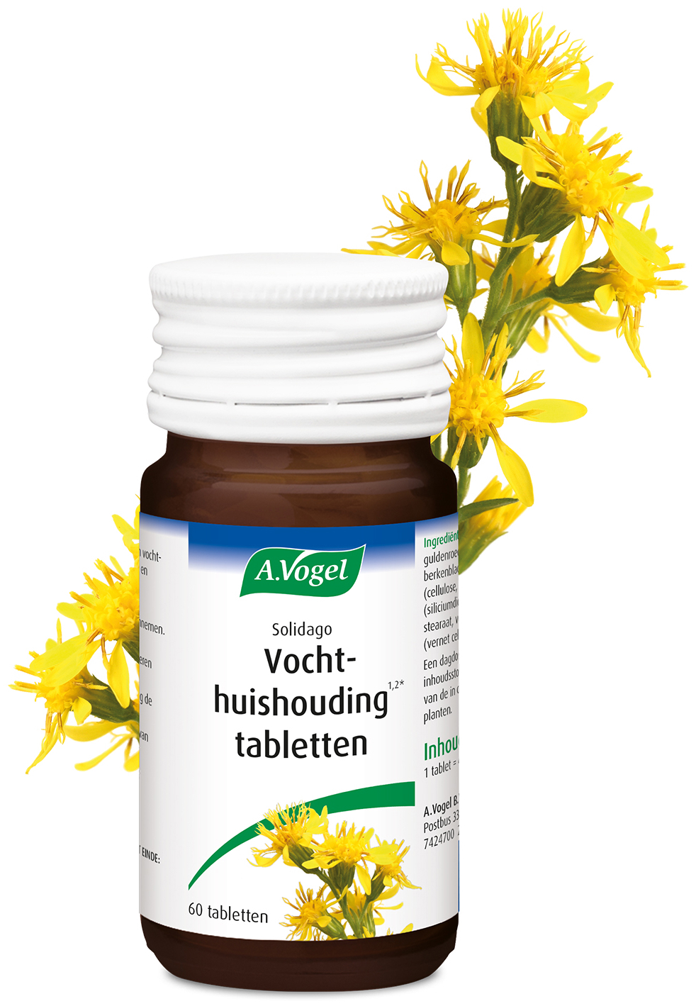 A.Vogel Solidago tabletten 60 Stuks