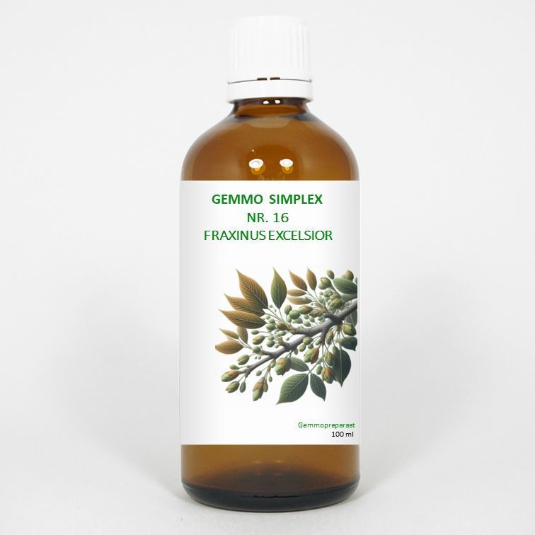 Gemmo simplex 16 fraxinus excelsior 100ml