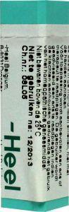 Homeoden Heel Belladonna LM8 1g