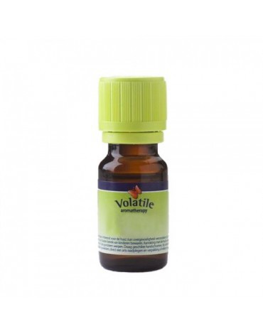 Volatile Eucalyptus citriodora 10ml