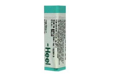 Homeoden Heel Agnus castus D6 1g