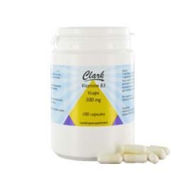 Holisan Vitamine B3 nicotinamide 500 mg 100cap