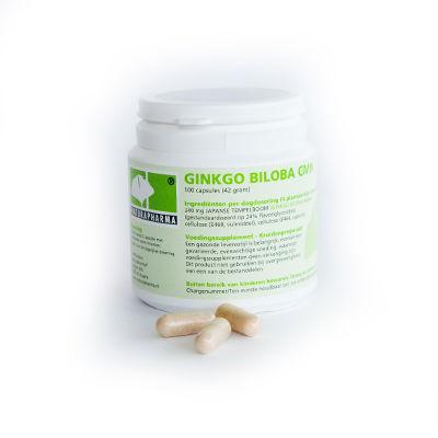 Ginkgo biloba 60mg 100cap