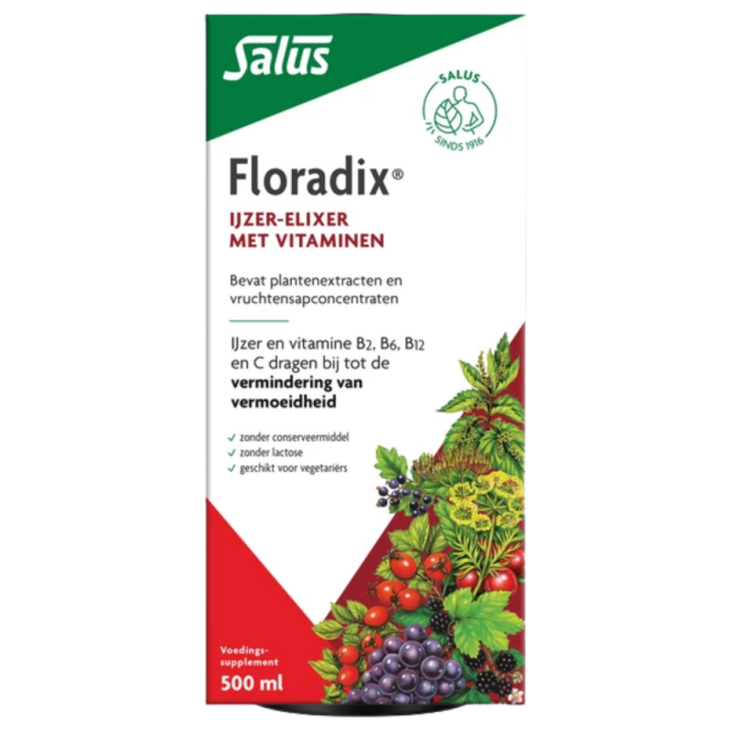 Floradix IJzer Elixer 500ml