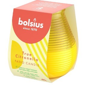 Citronella partylight 1st