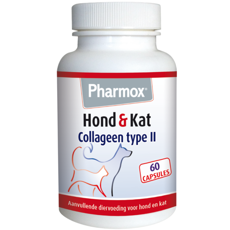 Collageen Type II 60 capsules