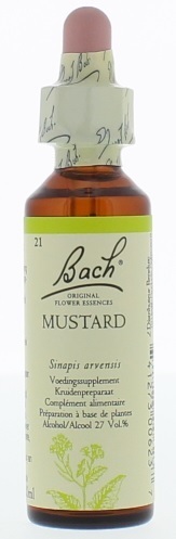 Flower Remedies Herik 21 20ml