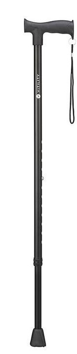 Wandelstok Zwart 1st