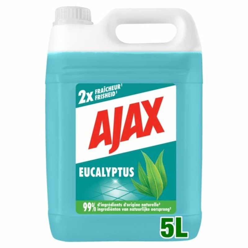 Allesreiniger eucalyptus 5000ml