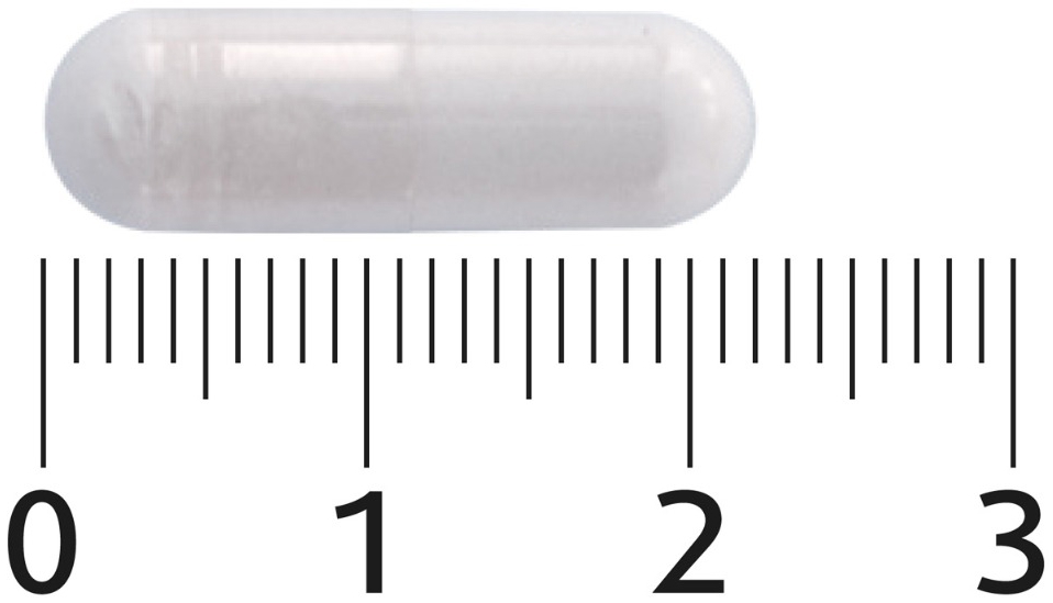 Lucovitaal Super Pre & Probiotica 56 Capsules