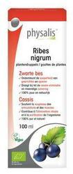 Ribes nigrum bio 100ml
