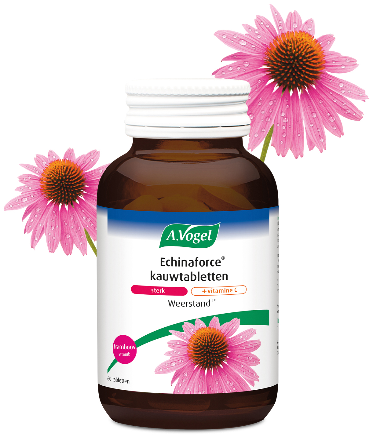A.Vogel Echinaforce sterk + vitamine C kauwtablet 60 Stuks